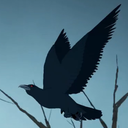 birdy-pajamas avatar