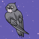birdyaviary avatar