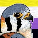 birdybro avatar
