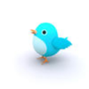 birdyhasthoughts-blog avatar