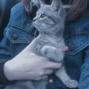 birgaripduman avatar