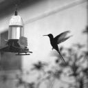 birgecemutluydum avatar