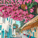 birhuzunmevsimi avatar