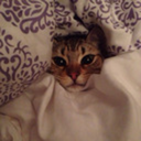 birichietoziers avatar