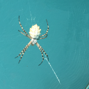 birihtimaldahavarsblog avatar