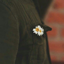 birinebakipcikacam avatar