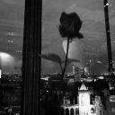 birkavanozdolusugece avatar