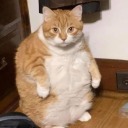 birkucakdolusuhayal avatar