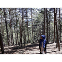 birolubirazcicek avatar