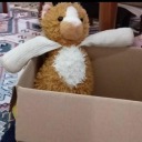 birseninkalbin avatar