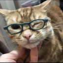 birseyleryazar avatar