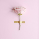 birthdaymasturbation avatar