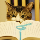 birukakilangit avatar