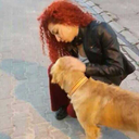 birvarmisimbiryokmus avatar