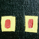 biryeryuzutanigi avatar