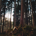 bis-aufs-messer avatar