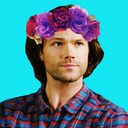 bisamwinchester avatar