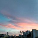 biscoito-ou-bolachas avatar