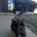 biscuit-me-now-blog avatar