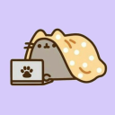 biscuitstorms avatar