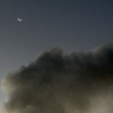 bisexual-bearrr avatar