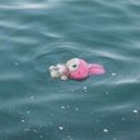 bisexual-void avatar