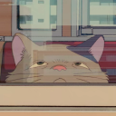 bisexualachilles avatar