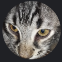 bisexualbanana avatar