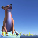 bisexualbirbs avatar