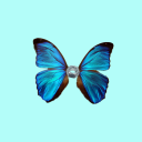 bisexualbluenutterfly avatar