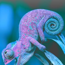 bisexualchameleon avatar