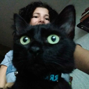 bisexualfangirl avatar