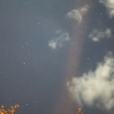 bisexualhollygolightly avatar