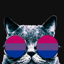 bisexualkitkat avatar