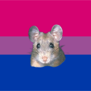 bisexualpackrat avatar