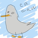 bisexualseagull avatar