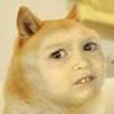 biseysorcammalmisin avatar