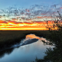 bishop-photography avatar