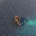 bishopknight0517 avatar