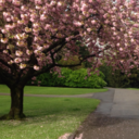 bisiyahbibeyaz avatar