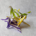 bisonandbubbles avatar