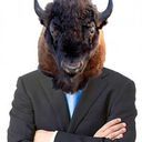 bisonofthelaw avatar