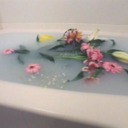 bisonteinvencible avatar