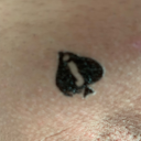 bitchboi4blkonly avatar