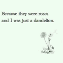 bitchentitties avatar