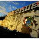 bitches-love-syn avatar