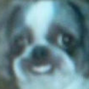 bitchesandtacos avatar