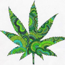 bitchesss-love-mee-blog avatar