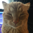 bitchface-3000 avatar