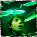 bitchmanfishboy avatar